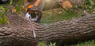 Best Organic Lawn Care Solutions  in Tahlequah, OK